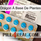 Dragon À Base De Plantes new07